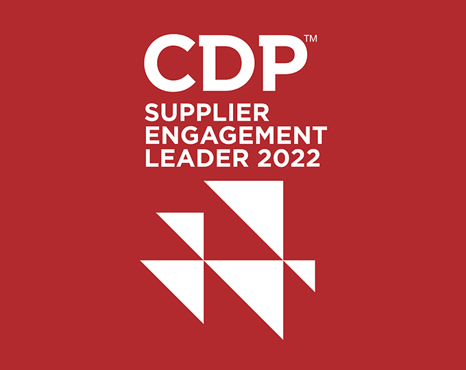 CDP ser 2022